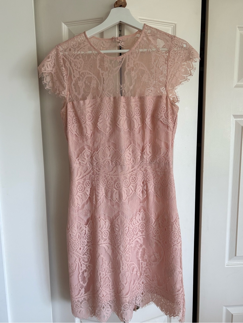 BB Dakota Blush Lace Cap-Sleeve Cocktail Dress